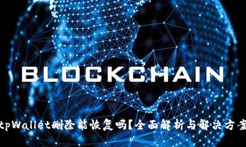 tpWallet删除能恢复吗？全面解析与解决方案