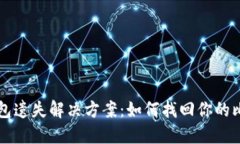 比特币钱包遗失解决方案
