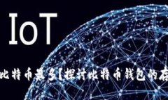 哪个钱包的比特币最多？