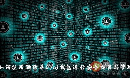 如何使用狗狗币Dpal钱包进行安全交易与管理