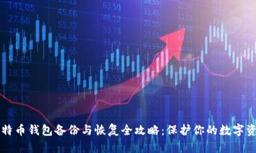 比特币钱包备份与恢复全攻略：保护你的数字资产