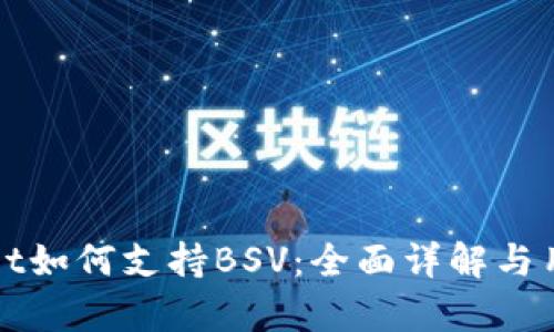 tpWallet如何支持BSV：全面详解与用户指南