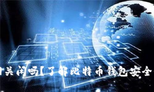 比特币钱包回关闲吗？了解比特币钱包安全性与管理技巧