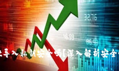 tpWallet导入私钥安全吗？深入解析安全性与风险