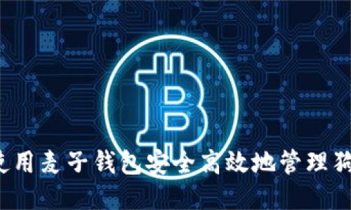 如何使用麦子钱包安全高效地管理狗狗币？