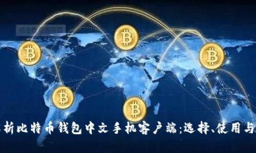 全方位解析比特币钱包中文手机客户端：选择、使用与安全防护