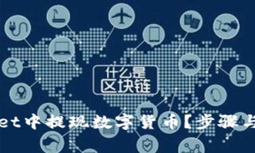 如何在tpWallet中提现数字货币？步骤与注意事项详解