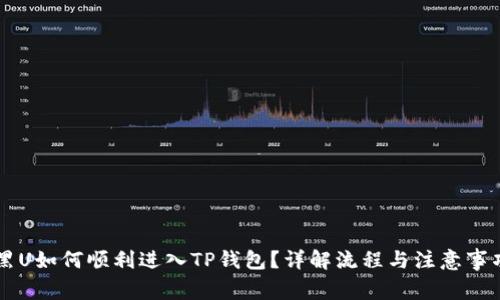 黑U如何顺利进入TP钱包？详解流程与注意事项