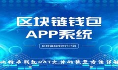 比特币钱包DAT文件的恢复