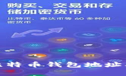 揭秘马斯克比特币钱包地址及其投资理念