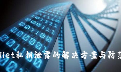 tpWallet私钥泄露的解决方案与防范措施