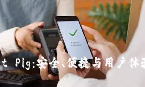 全面解析tpWallet Pig：安全、便捷与用户体验并重的数字钱包