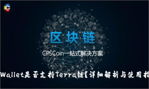 tpWallet是否支持Terra链？详细解析与使用指南