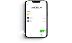 tpWallet显示资金池的解决方