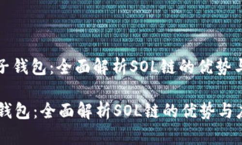 : 麦子钱包：全面解析SOL链的优势与应用

麦子钱包：全面解析SOL链的优势与应用