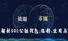全方位解析SOL公链钱包：