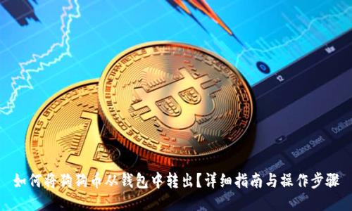 如何将狗狗币从钱包中转出？详细指南与操作步骤