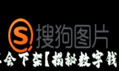 tpWallet会不会下架？揭秘数
