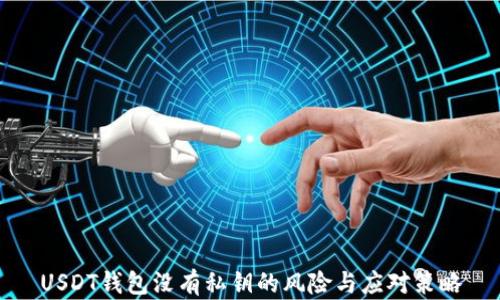 
USDT钱包没有私钥的风险与应对策略