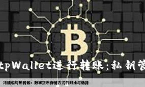 如何安全使用tpWallet进行转账：私钥管理与转账技巧