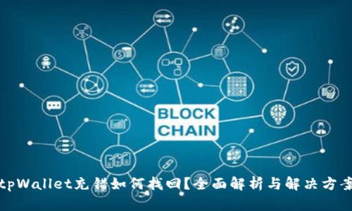 tpWallet充错如何找回？全面解析与解决方案