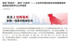 狗狗币轻钱包无法更新的