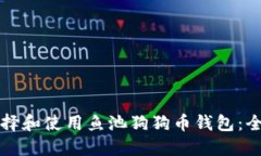 如何选择和使用鱼池狗狗
