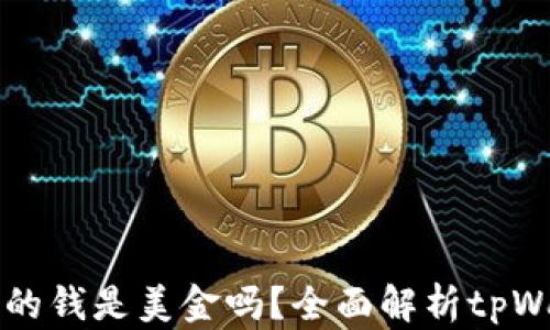 
tpWallet里面的钱是美金吗？全面解析tpWallet货币种类