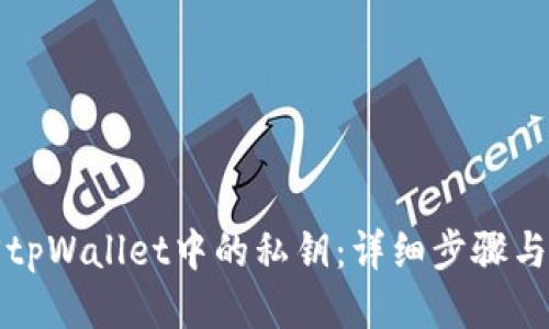 如何找回tpWallet中的私钥：详细步骤与安全指南