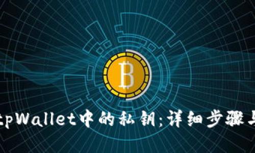 如何找回tpWallet中的私钥：详细步骤与安全指南