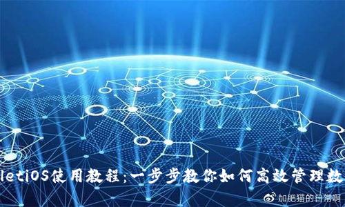 tpWalletiOS使用教程：一步步教你如何高效管理数字资产